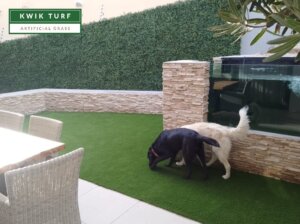 Synthetic grass for dogs