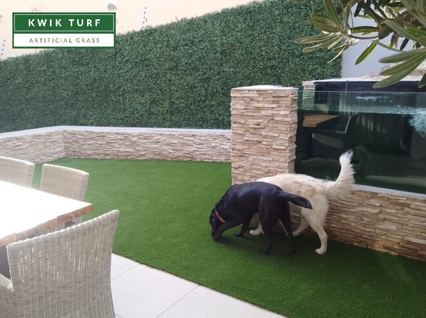 Synthetic grass for dogs