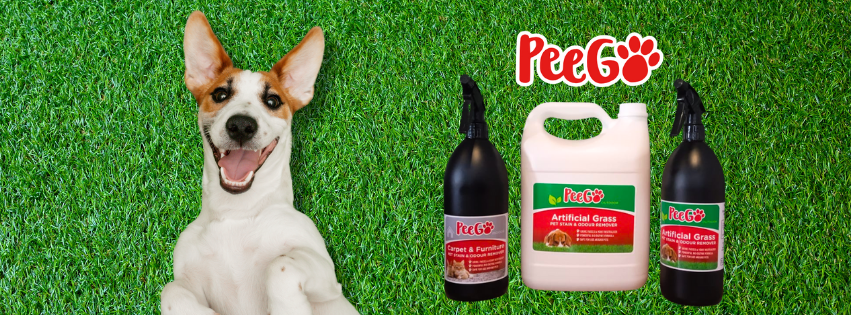 How to Clean Synthetic Grass